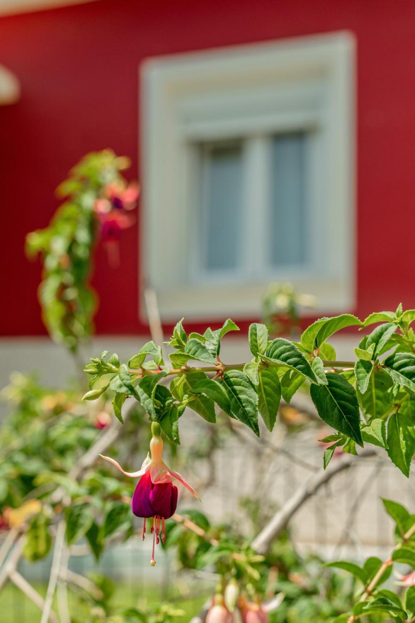 Algés Village Casa 4 Kültér fotó